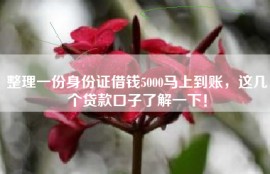 整理一份身份证借钱5000马上到账，这几个贷款口子了解一下！