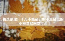 精选整理！千万不能错过的不查征信的小额贷款网贷平台