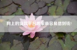 网上的贷款平台哪家最容易借到钱?