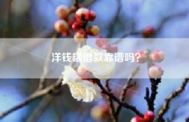 洋钱罐借款靠谱吗？