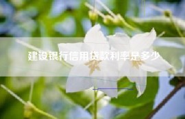 建设银行信用贷款利率是多少