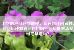 上学时户口迁到城里，现在想迁回农村，迁回后还算农业户口吗？迁后能继承父母宅基地吗？