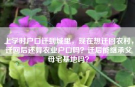 上学时户口迁到城里，现在想迁回农村，迁回后还算农业户口吗？迁后能继承父母宅基地吗？