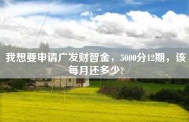 我想要申请广发财智金，5000分12期，该每月还多少?