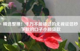 精选整理！千万不能错过的无视征信秒下款的口子小额贷款
