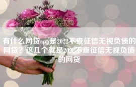 有什么网贷app是2022不查征信无视负债的网贷？这几个就是2022不查征信无视负债的网贷