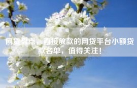 网贷盘点，直接放款的网贷平台小额贷款名单，值得关注！