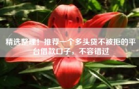 精选整理！推荐一个多头贷不被拒的平台借款口子，不容错过