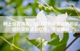 网上借钱被拒，试试这些不看负债和征信的贷款借款软件，不容错过