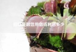 招联金融信用借钱利息多少