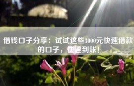 借钱口子分享：试试这些3000元快速借款的口子，快速到账！