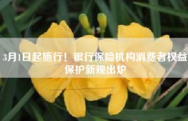 3月1日起施行！银行保险机构消费者权益保护新规出炉