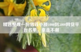 精选整理一份借钱小额1000到3000网贷平台名单，拿走不谢