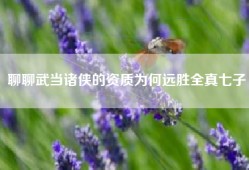 聊聊武当诸侠的资质为何远胜全真七子