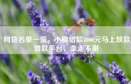 网贷名单一览，小额借款1000元马上放款借款平台，拿走不谢