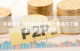 不需要征信的贷款有哪些？盘点几个借款软件好下款的