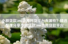 小额贷款5000急用网贷平台有哪些？精选整理分享小额贷款5000急用贷款平台