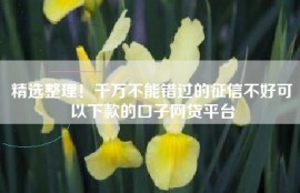 精选整理！千万不能错过的征信不好可以下款的口子网贷平台