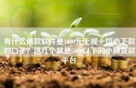 有什么借款软件是1000元无视一切必下款的口子？这几个就是5000以下的小额贷款平台