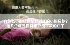 有什么小额贷款是秒到账的小额贷款？这几个就是网贷黑户能下款的口子