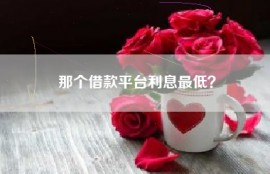 那个借款平台利息最低？