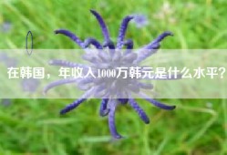 在韩国，年收入1000万韩元是什么水平？