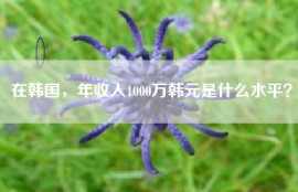在韩国，年收入1000万韩元是什么水平？