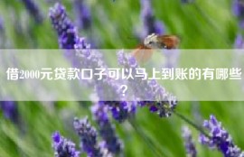 借2000元贷款口子可以马上到账的有哪些？