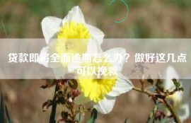 贷款即将全面逾期怎么办？做好这几点可以挽救