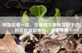 网贷名单一览，负债高大数据花秒下2万的贷款贷款平台，拿走不谢