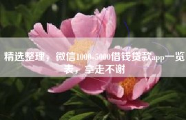 精选整理，微信1000-5000借钱贷款app一览表，拿走不谢