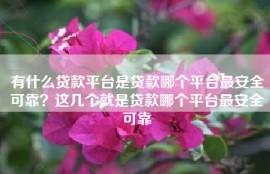 有什么贷款平台是贷款哪个平台最安全可靠？这几个就是贷款哪个平台最安全可靠