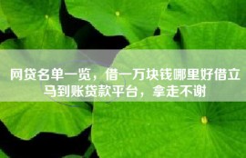 网贷名单一览，借一万块钱哪里好借立马到账贷款平台，拿走不谢
