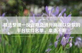 精选整理一份近期负债升高可以贷款的平台软件名单，拿走不谢