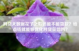 网贷大数据花了之后还能不能贷款？给点钱就能够优化网贷征信吗？