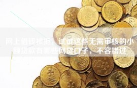 网上借钱被拒，试试这些无需审核的小额贷款有哪些网贷口子，不容错过