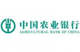 13家银行信用卡背后贷款有哪些？