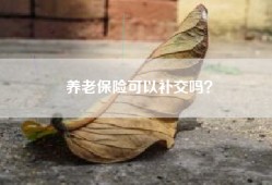 养老保险可以补交吗？