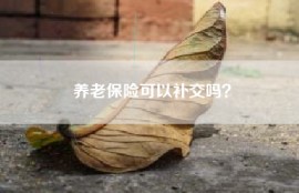 养老保险可以补交吗？