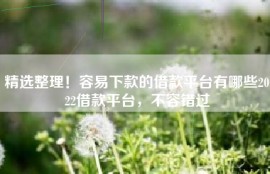 精选整理！容易下款的借款平台有哪些2022借款平台，不容错过