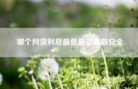 哪个网贷利息最低最可靠最安全