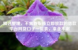 精选整理，不需要审核立即放款的借款平台网贷口子一览表，拿走不谢