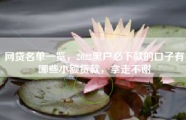 网贷名单一览，2022黑户必下款的口子有哪些小额贷款，拿走不谢