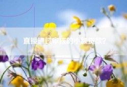 直接通过审核的小额贷款？