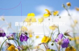直接通过审核的小额贷款？