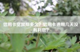 信用卡宽限期多久？信用卡逾期几天没有利息？