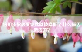 信用贷款额度突然就被降低了,什么原因造成的？