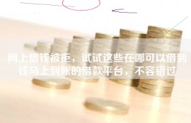 网上借钱被拒，试试这些在哪可以借到钱马上到账的借款平台，不容错过