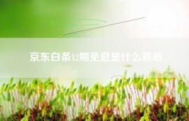 京东白条12期免息是什么意思