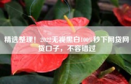 精选整理！2022无视黑白100%秒下网贷网贷口子，不容错过